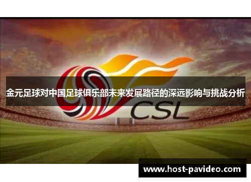 金元足球对中国足球俱乐部未来发展路径的深远影响与挑战分析